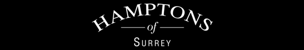 Hamptons of Surrey logo